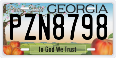 GA license plate PZN8798