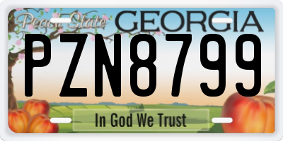 GA license plate PZN8799