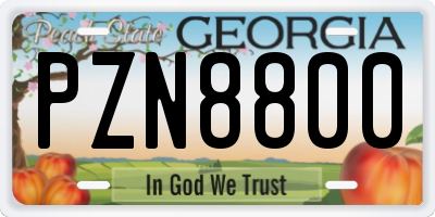 GA license plate PZN8800