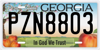 GA license plate PZN8803