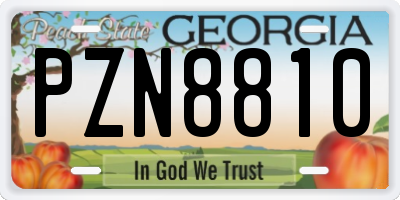 GA license plate PZN8810