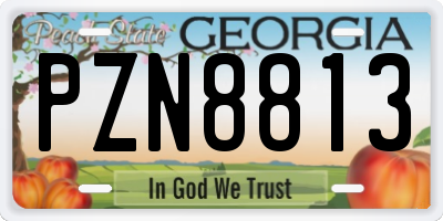 GA license plate PZN8813