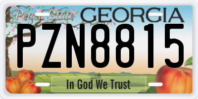 GA license plate PZN8815