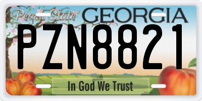 GA license plate PZN8821