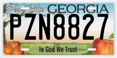 GA license plate PZN8827