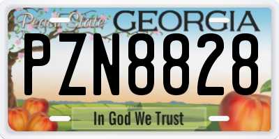 GA license plate PZN8828