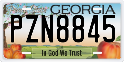 GA license plate PZN8845