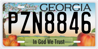 GA license plate PZN8846