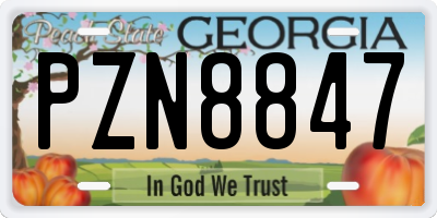 GA license plate PZN8847