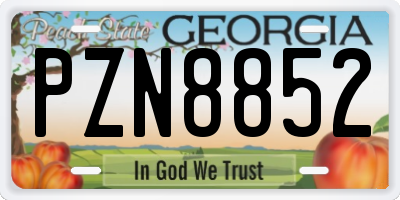 GA license plate PZN8852