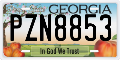 GA license plate PZN8853