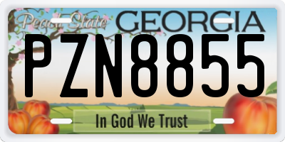 GA license plate PZN8855