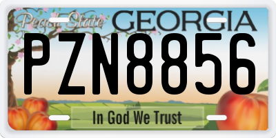 GA license plate PZN8856