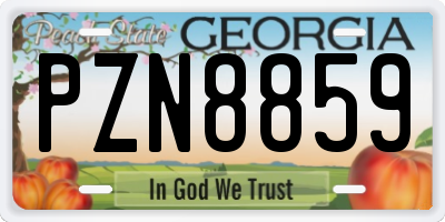 GA license plate PZN8859