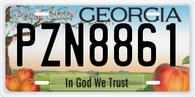 GA license plate PZN8861