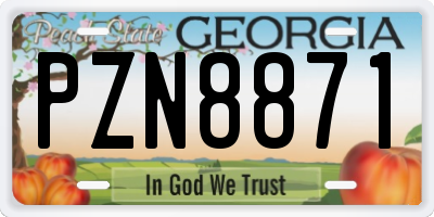 GA license plate PZN8871