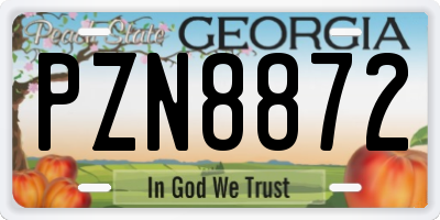 GA license plate PZN8872