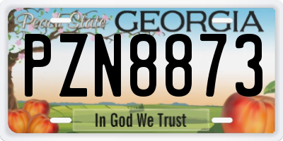 GA license plate PZN8873