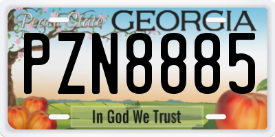 GA license plate PZN8885