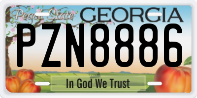 GA license plate PZN8886