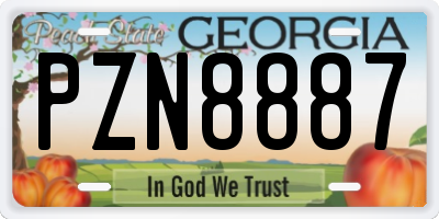 GA license plate PZN8887