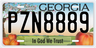 GA license plate PZN8889