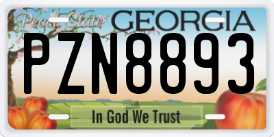 GA license plate PZN8893