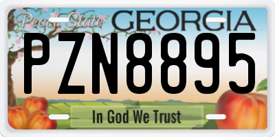 GA license plate PZN8895