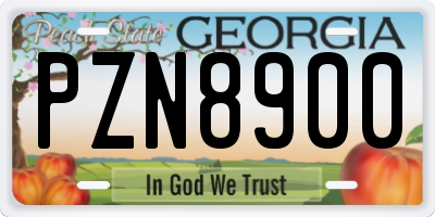 GA license plate PZN8900
