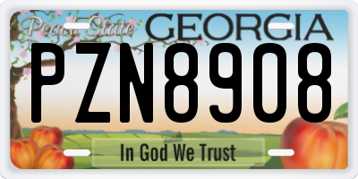 GA license plate PZN8908