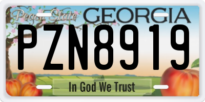 GA license plate PZN8919