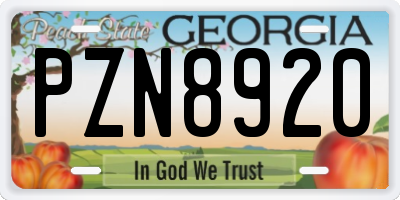 GA license plate PZN8920