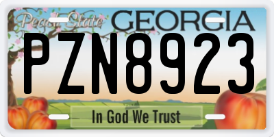 GA license plate PZN8923