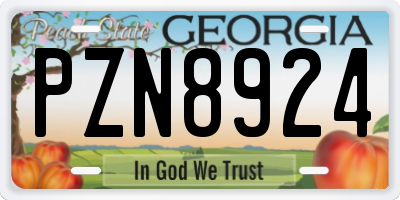 GA license plate PZN8924