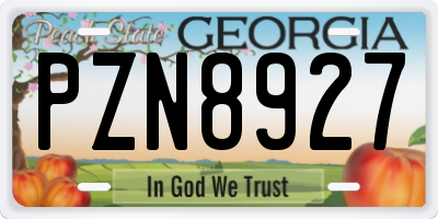 GA license plate PZN8927