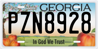 GA license plate PZN8928