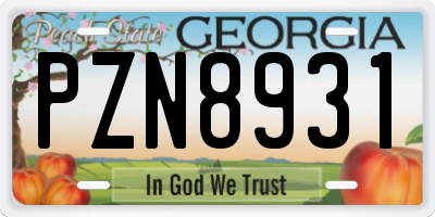 GA license plate PZN8931