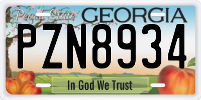 GA license plate PZN8934