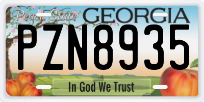 GA license plate PZN8935