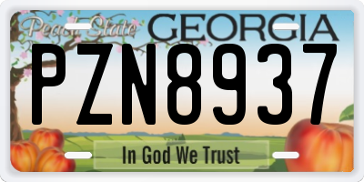 GA license plate PZN8937