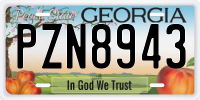 GA license plate PZN8943