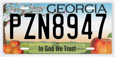 GA license plate PZN8947