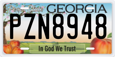 GA license plate PZN8948