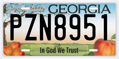 GA license plate PZN8951