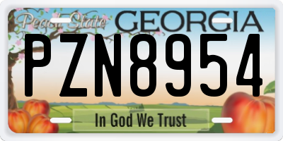 GA license plate PZN8954