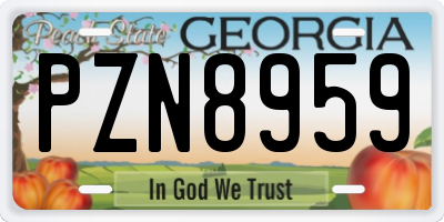 GA license plate PZN8959