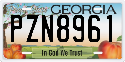GA license plate PZN8961