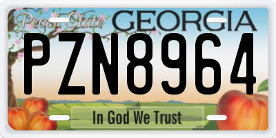 GA license plate PZN8964