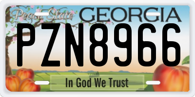 GA license plate PZN8966