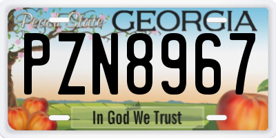 GA license plate PZN8967